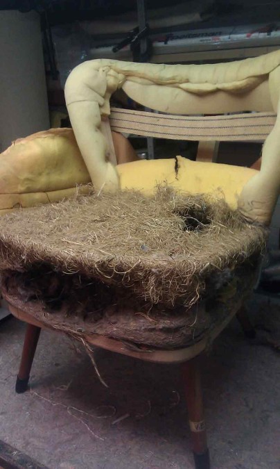 een zogenaamd veren interieur,